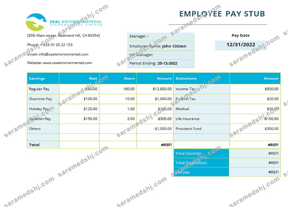 USA Texas commercial cleaning company earnings statement template in Word and PDF format